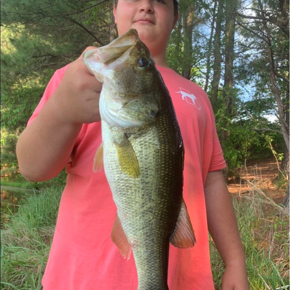 Meet your Posher, Evan